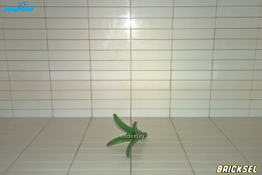 Листья комнатного цветка зеленые