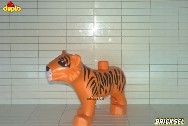 Тигр оранжевый